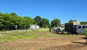 Tree Removal for Optimum Tree Service And Landscaping in Bowling Green, KY