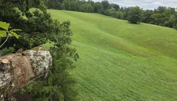 Tree Removal for Smith Tree Experts in Palmyra, VA