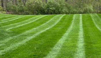 Landscaping for Grassy Turtle Services, LLC.  in Oxford, CT