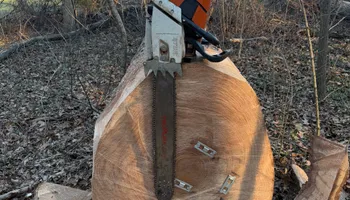 Tree Removal for Kadin’s Tree Service in North Vernon, IN