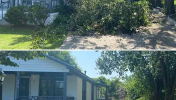 Tree Trimming for Pinedown LLC in Cherokee County, GA