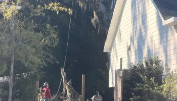 Tree Removal for Hawkins Tree Service & Land Management in Richmond Hill, GA