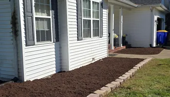 Tree Removal for Optimum Tree Service And Landscaping in Bowling Green, KY