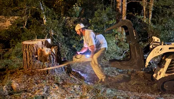 Tree Removal for Hawkins Tree Service & Land Management in Richmond Hill, GA