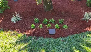 Lawn Maintenance for Marty's Lawn Service in Green Cove Springs, FL