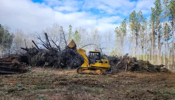 Land Clearing for Blessed Excavation LLC in Oneida, TN