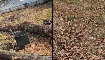 Stump Grinding for Anchor & Grind Stump in Chesapeake, VA