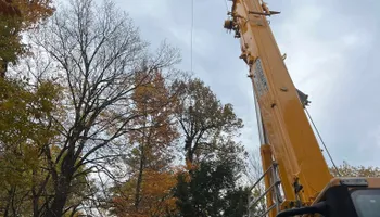 Tree Removal for Abair Tree Service in Weare, NH
