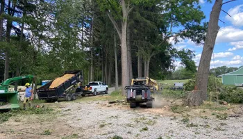 Tree Removal for DGD Outdoor Services LLC in Howell, MI