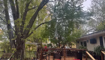 Tree Removal for Dittmer Tree Service in Davenport, IA