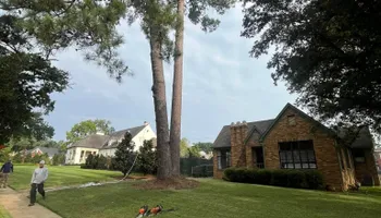 Tree Removal for JC Land and Tree Service in Kilgore, TX