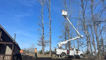 Tree Removal for Ross Family Tree Service LLC  in Hohenwald, TN