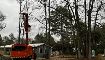 Tree Removal for H3 Land Management in Centerville, TX