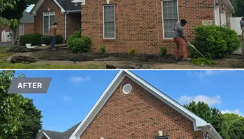 Tree Removal for Optimum Tree Service And Landscaping in Bowling Green, KY