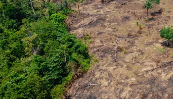 Lawn Maintenance for Twin Peaks Lawn Care  in Front Royal, VA