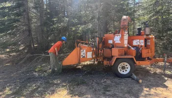 Tree Removal for J&Q Tree Service in Paradise, MI