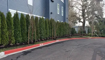 Mulch Installation for Macmor Inc. in Puyallup, WA