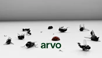 General Pest Control for Arvo Pest Control in Sandy, UT