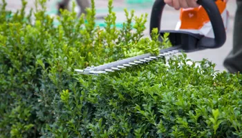 Softscaping Design & Installation for Mulch & Dig in West Bloomfield Township, MI