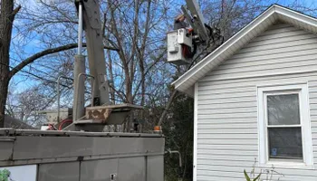 Tree Removal for R&P Tree Service LLC in Greenville, South Carolina