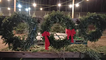 Pinestraw for BAM Another Pinestraw Lot in Flowery Branch, GA