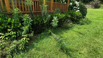 Mowing for Hays Lawn and Property Services in Clinton, TN
