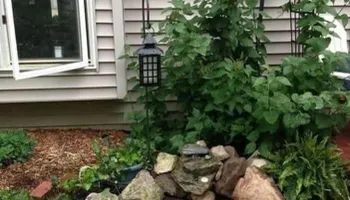 Tree Removal for All Tree Property Services in Charlotte, NC