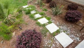 Mowing for South Georgia Lawn Care in Valdosta, GA