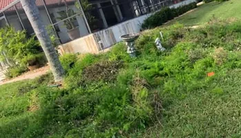 Stump Grinding for Rize N’ Grind  in Punta Gorda, FL