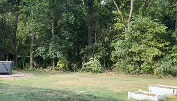 Tree Removal for Fransen's Tree Service  in Freeport, IL