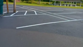 Driveway Paving for Asphalt Animals in Sevierville, TN