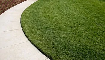 Mowing for Lawn Dogz Lawns & Landscaping in Tampa, FL