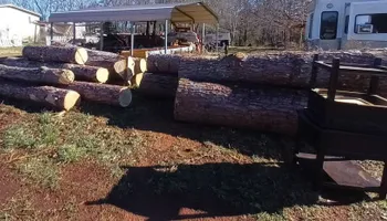 General Handyman Services for Goliath Tree Maintenance and Haul Away in Seneca, SC