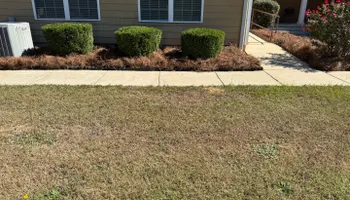 Painting and Drywall for Camalett Services in Perry, GA