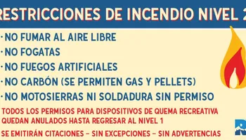 Weeding for G&B Yard Service in Ruidoso Downs, NM