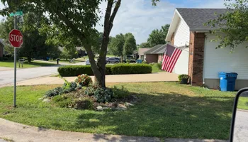 Tree Trimming for Wright Lawn Services in Ozark, MO