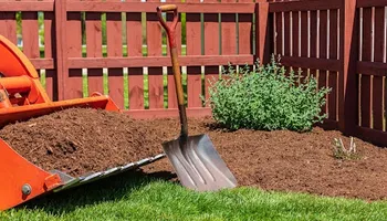 Mowing for Green Lawn Care in Ambler, PA
