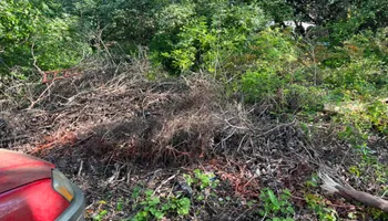 Land Clearing for Taylormade Land Service LLC in Hopkins County, KY