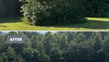 Driveway Design & Build for Lewis Oaks Landscaping in King and Queen County, VA