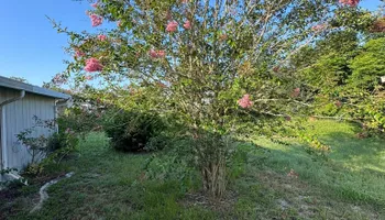Mowing for Young's Lawn Services LLC in Ocala, FL