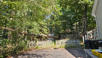 Tree Removal for Hired Gunz Services LLC in La Plata, MD