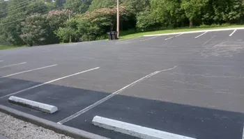 Driveway Paving for Asphalt Animals in Sevierville, TN