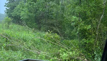 Land Clearing for D&J Land Works in Hurricane Mills, TN