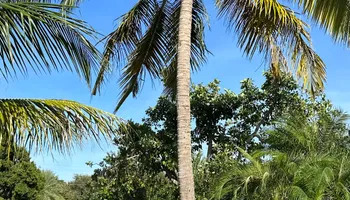 Landscape & Design for South Florida Terra Systems in Boynton beach ,  FL