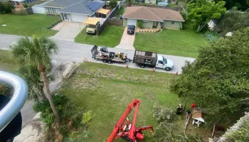 Tree Removal for MX Trees LLC in Englewood, FL