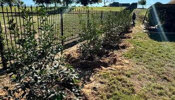Tree Removal for Year Round Trees & Concrete Inc. in Fort Worth, TX