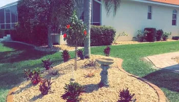 Stump Grinding for Rize N’ Grind  in Punta Gorda, FL