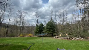 Tree Removal for Licensed to Cut Tree Service in Athens, PA