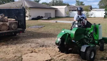 Tree Removal for Highlands Tree Service LLC in Avon Park, FL