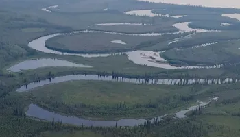 Wildlife & Hunting Property Management for Bluffside Forestry in Cedar Rapids, IA